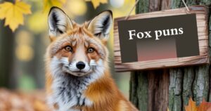 Fox puns