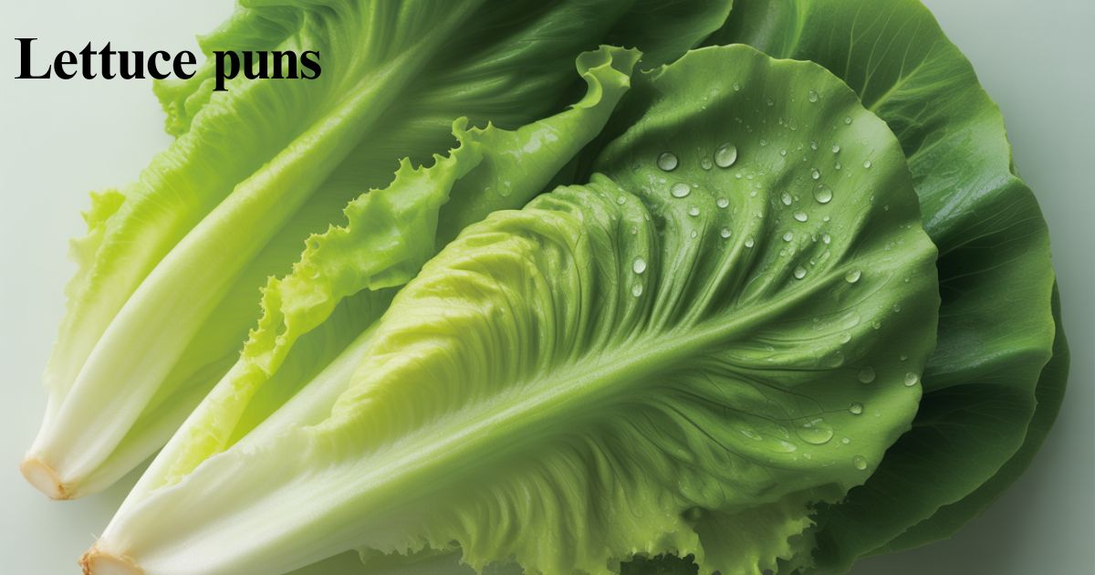 Lettuce puns